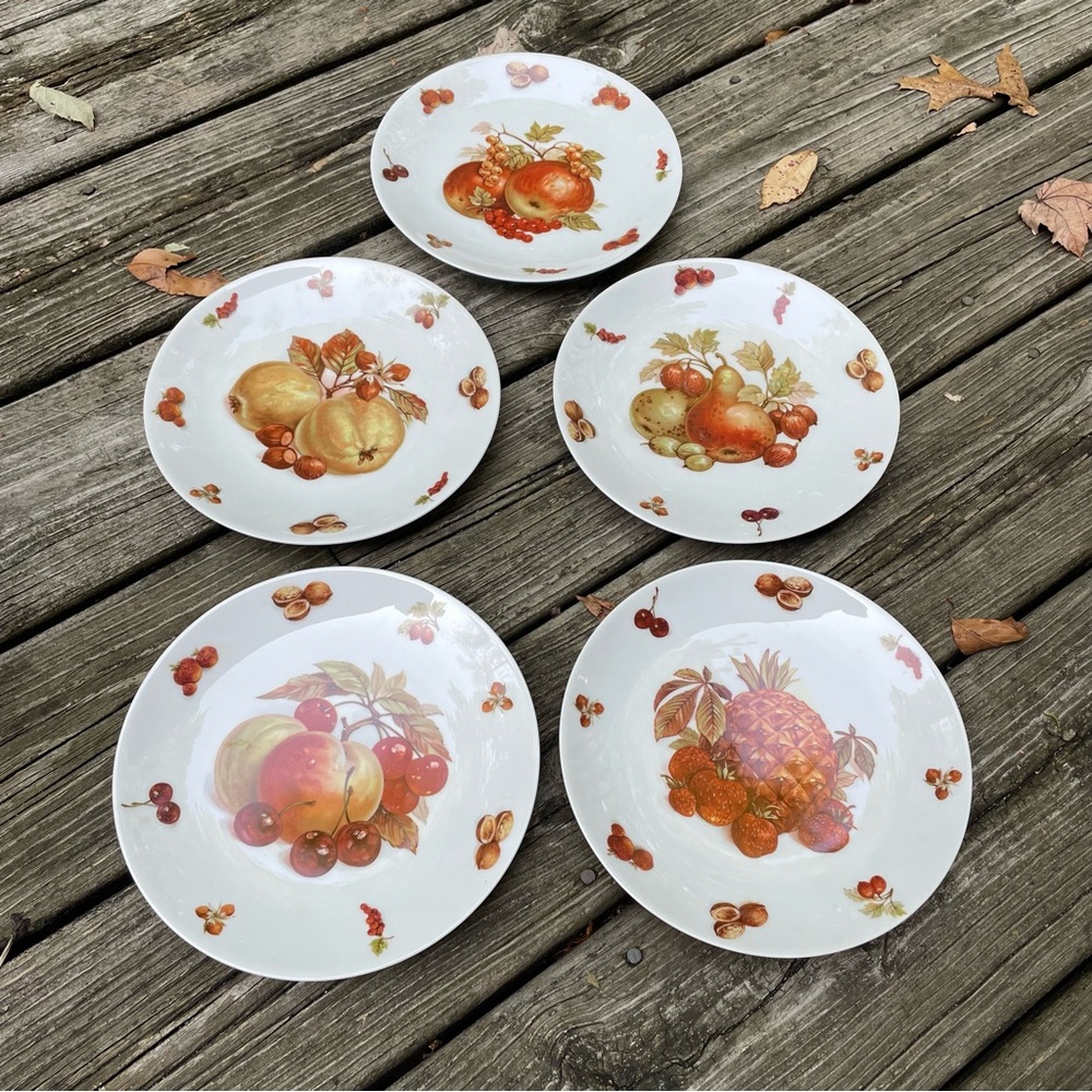 Five Vintage Bavaria Fruit Plates White Porcelain Debra Germany - Set of 5